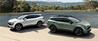 Kia Sportage - 2