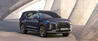 Hyundai Palisade - 3